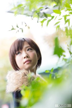 茄子蛋