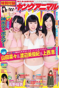 莲花楼电视剧免费观看完整