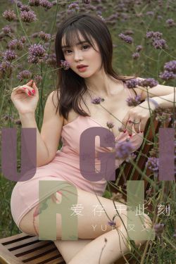 红楼梦在线观看